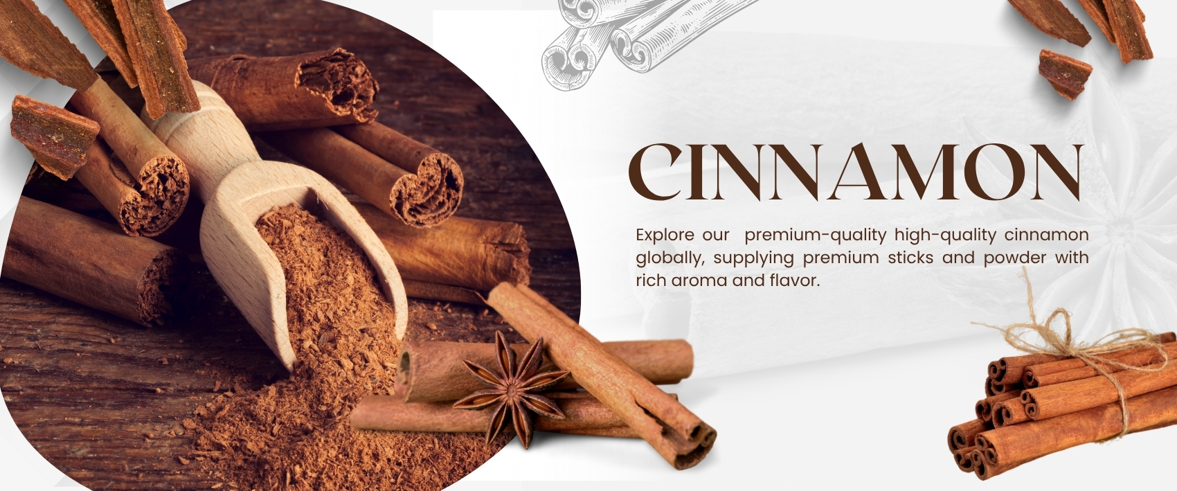 Banner Image-best business providers